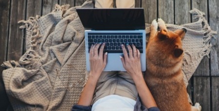 person on computer with dog